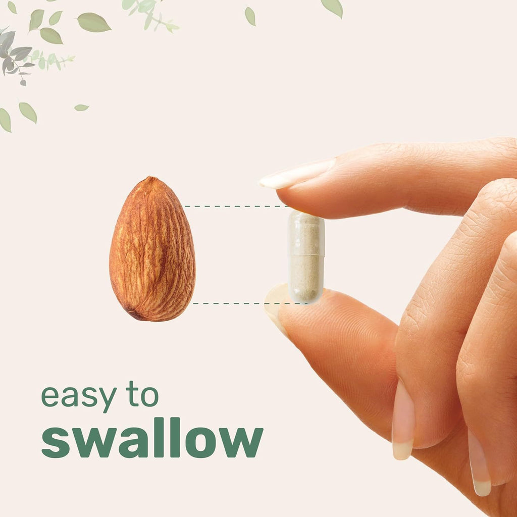 Lion Mane Capsule